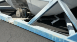 Container cisterna da 20 piedi in vendita - immagine 7